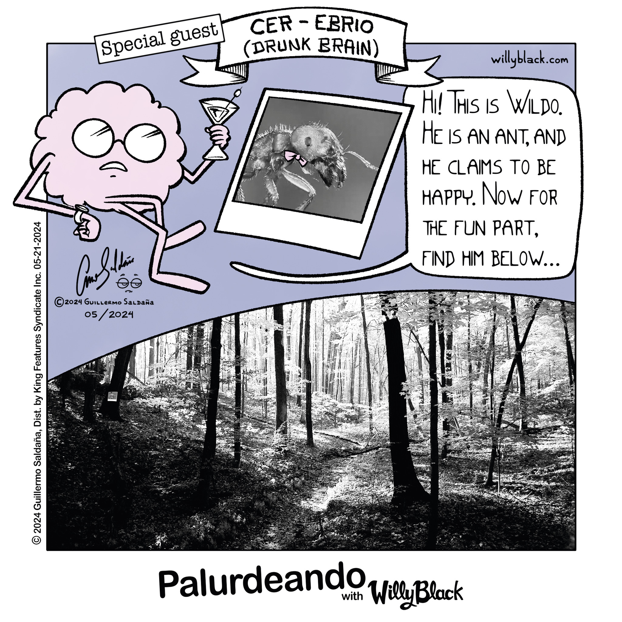 Read Palurdeando Manga Online