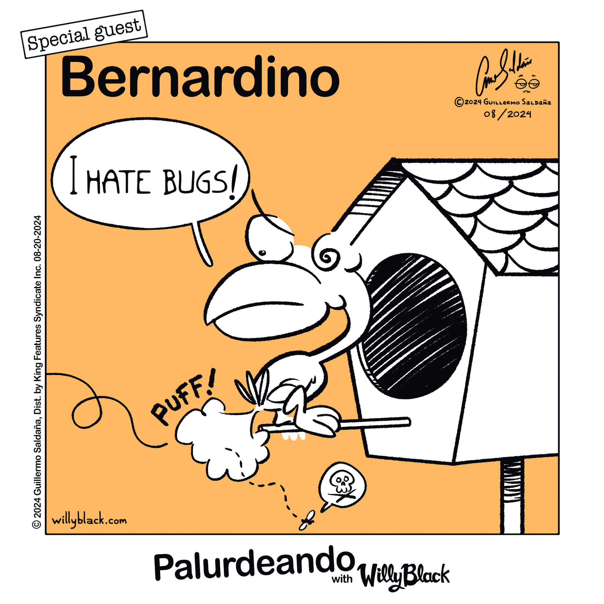 Read Palurdeando Manga Online