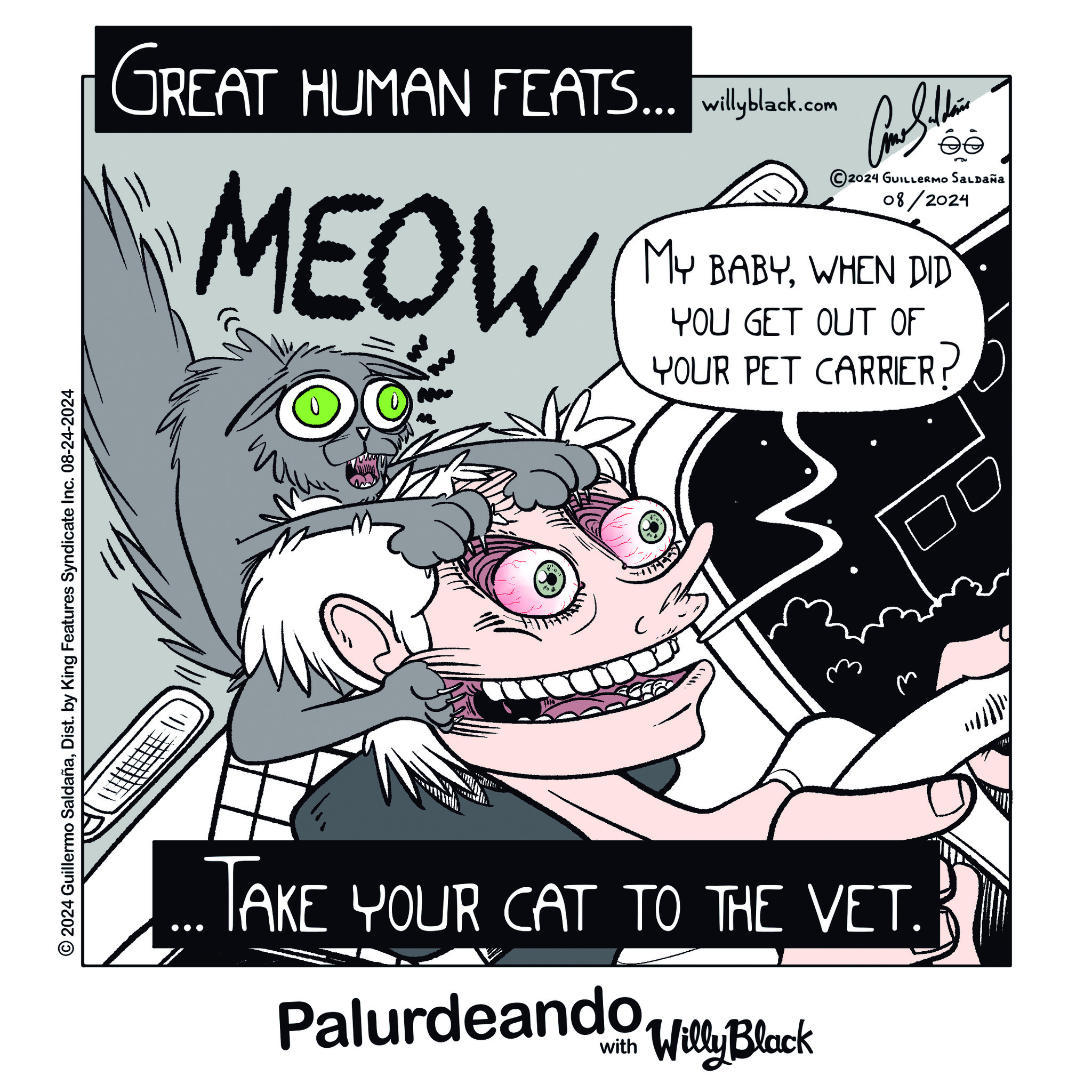Read Palurdeando Manga Online