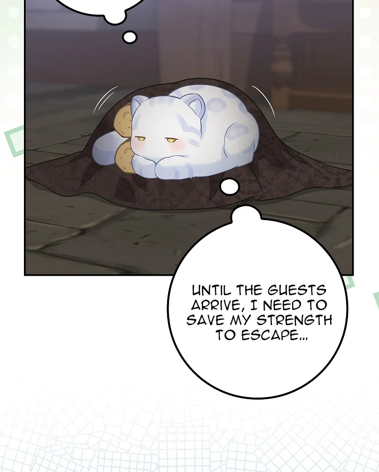 Read baby snow leopard of the black leopard family Manga Online