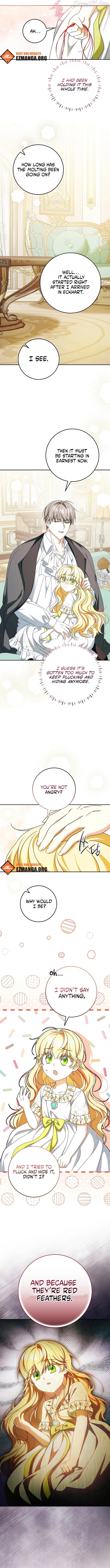 Read the beloved new daughter-in-law of the wolf mansion Manga Online